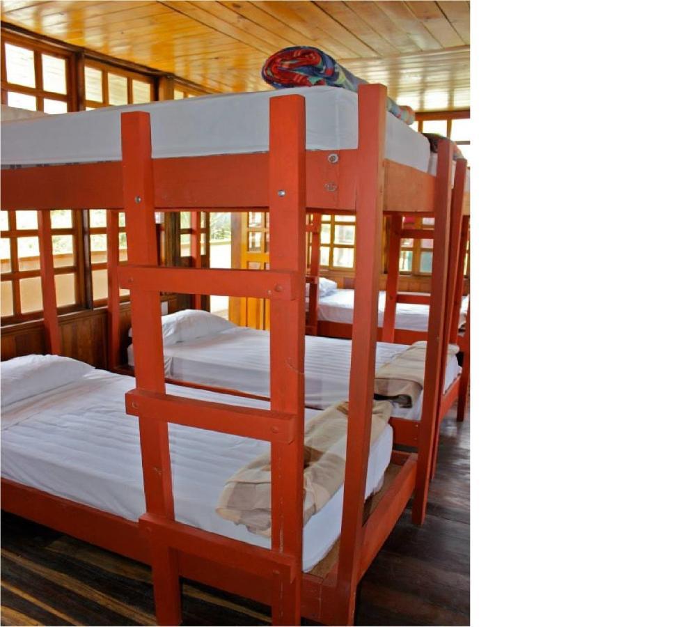 Coral Reef Surf Hostel And Camp Tamarindo Phòng bức ảnh
